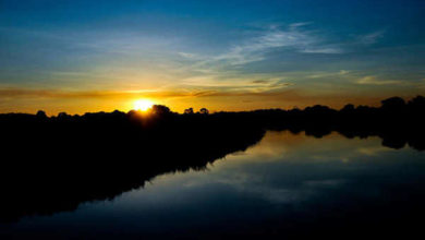 Foto de Bioma Pantanal